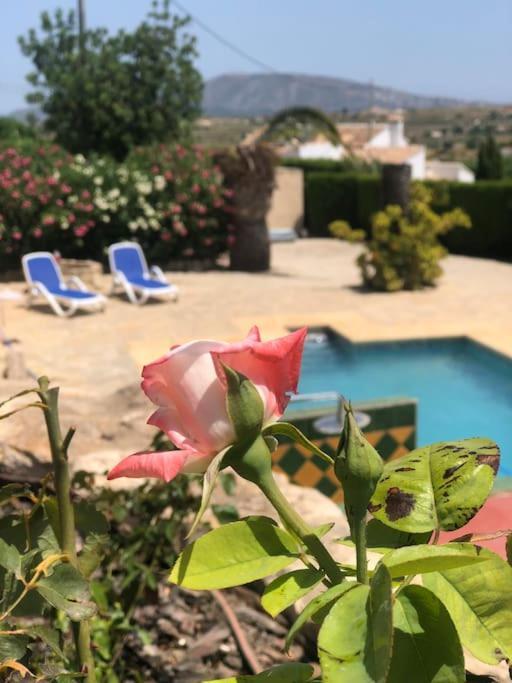 Rustico Appartment 'Olta' In Finca, See-And Garden Side Teulada Bagian luar foto